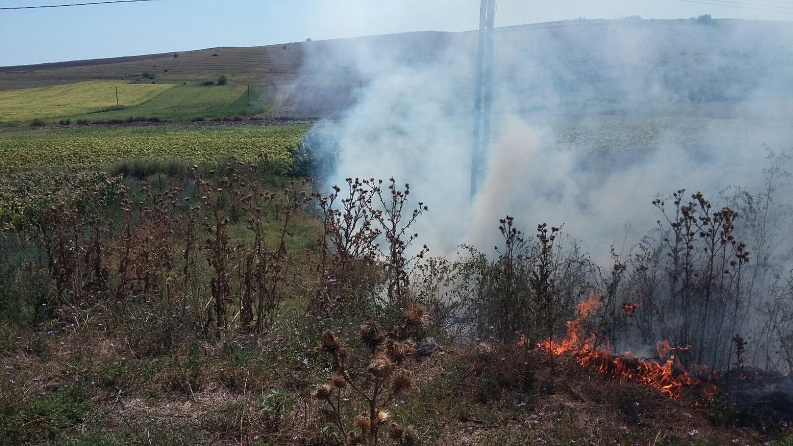 Incendiu de miriște la Babadag (galerie foto)