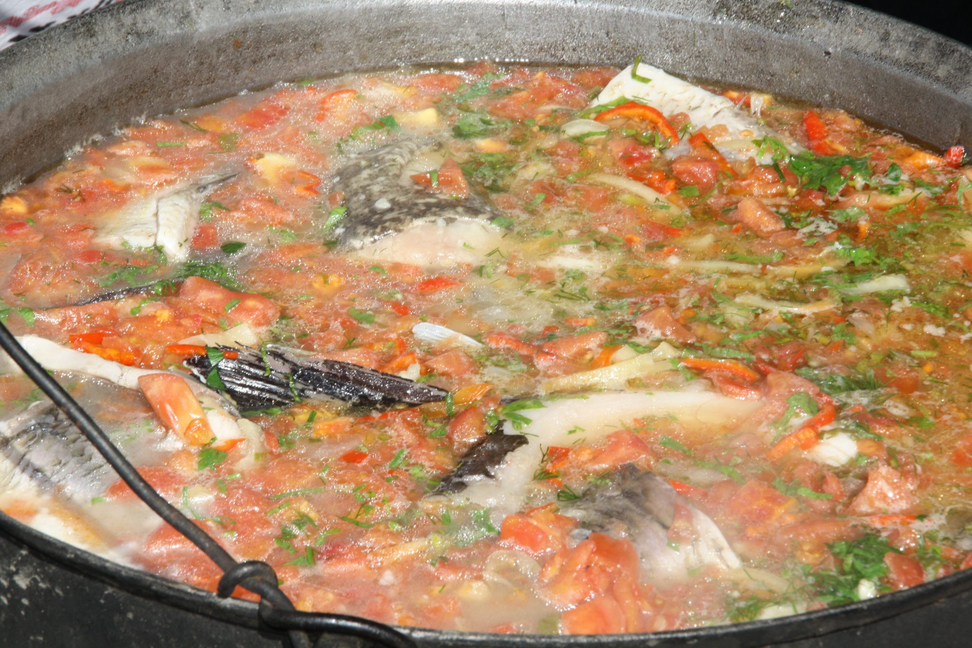 TULCEA – Delicii culinare specifice Deltei Dunării la Festivalul Borșului de Pește