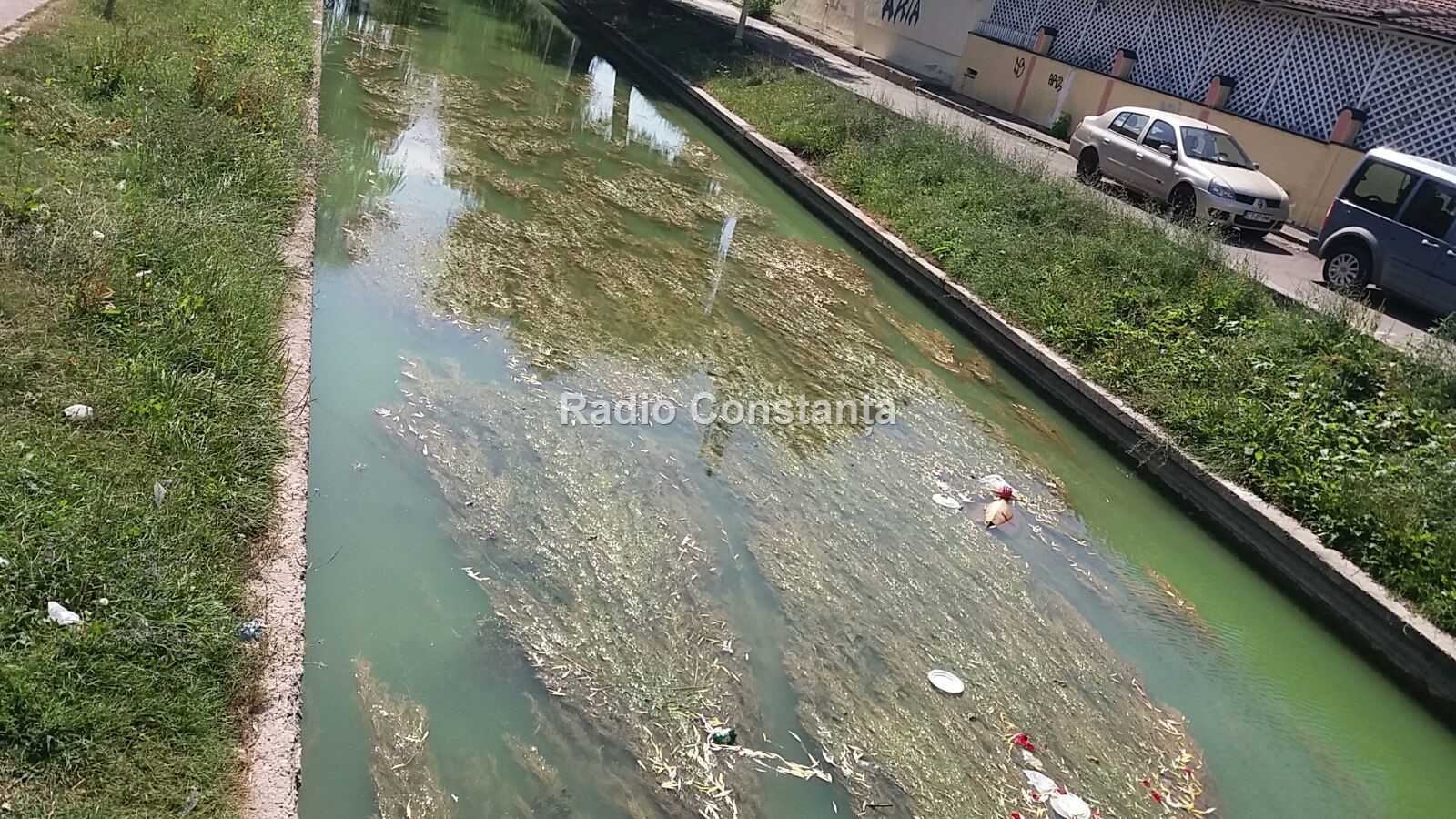 CONSTANȚA: Mizeria din canalul Siutghiol-Tăbăcărie strică imaginea Satului de Vacanță