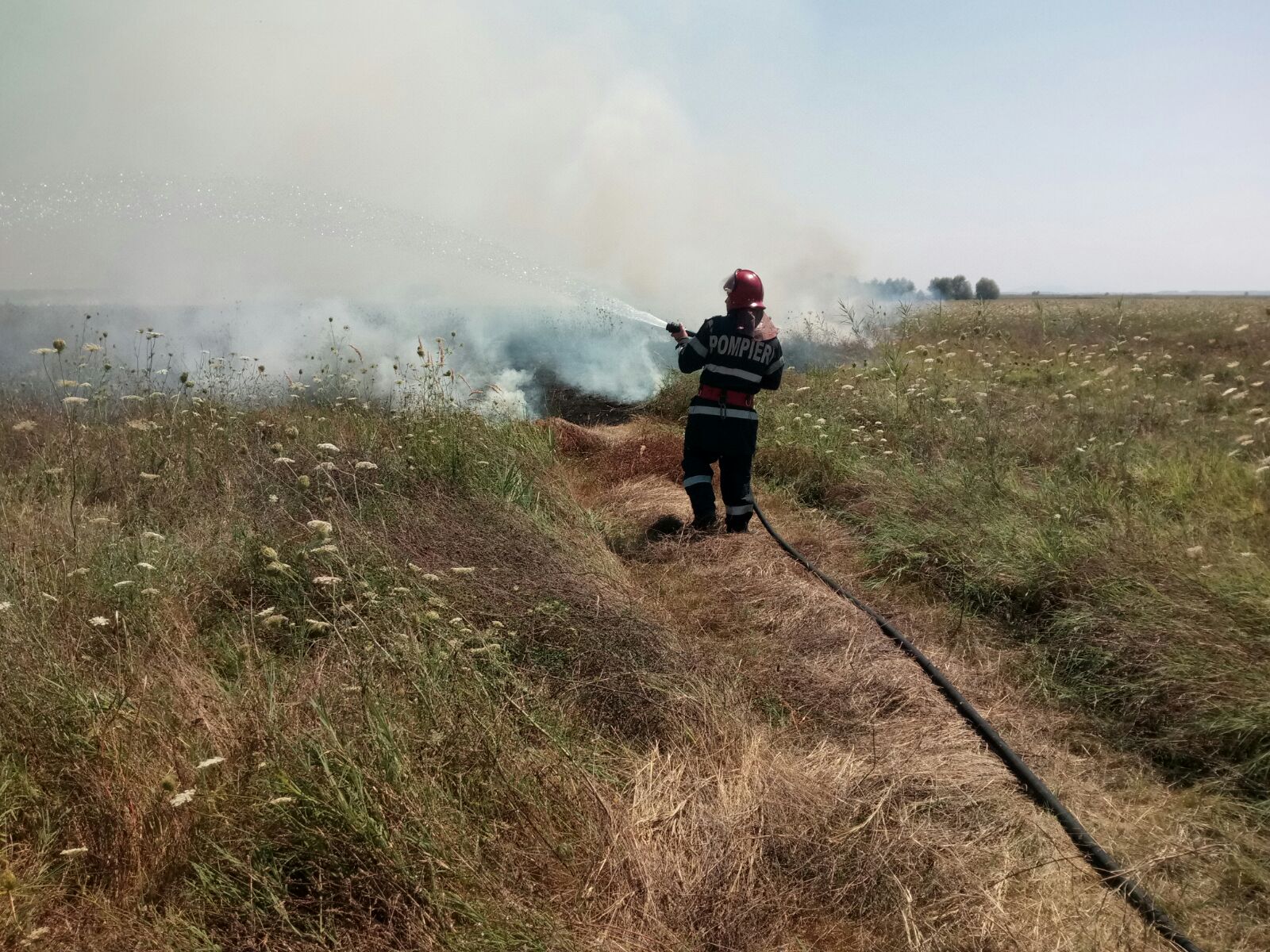 FOTO: INCENDIU într-o localitate din TULCEA. Focul a fost pus INTENŢIONAT