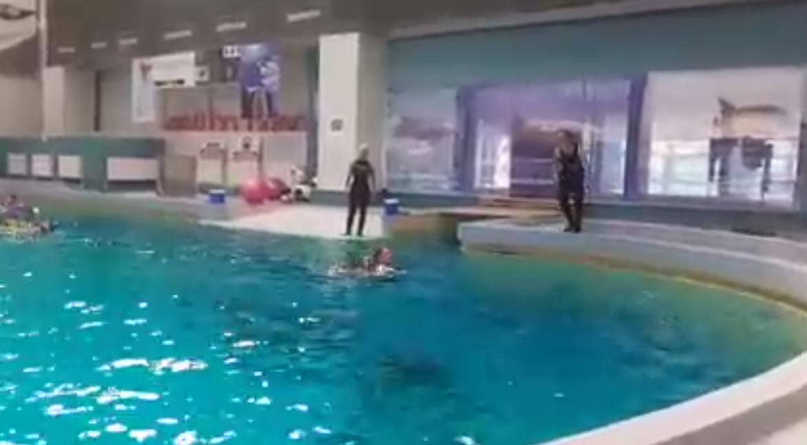 PROTEST la Delfinariul din CONSTANŢA. Doi români și un olandez, amendați după ce au intrat în bazin