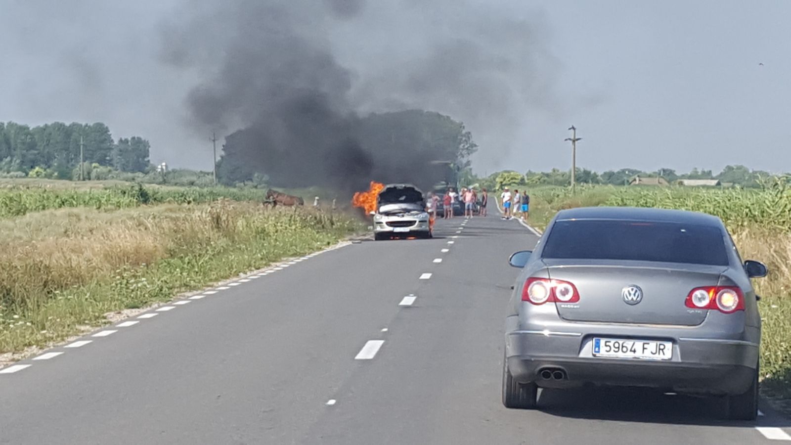 UPDATE/ FOTO/ VIDEO: Mașină în FLĂCĂRI în județul TULCEA