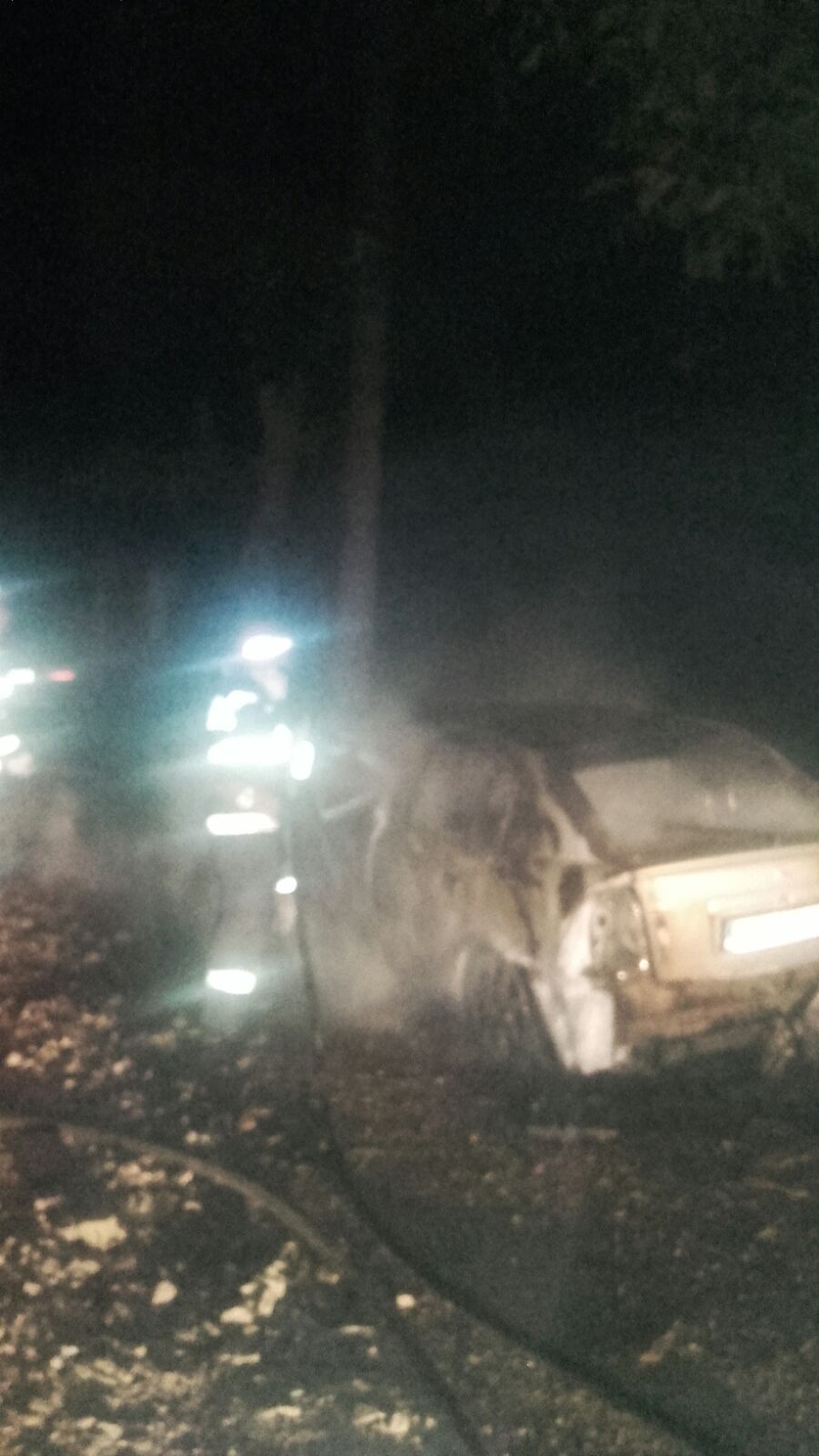 FOTO/ TULCEA: Pompierii au intervenit la Măcin