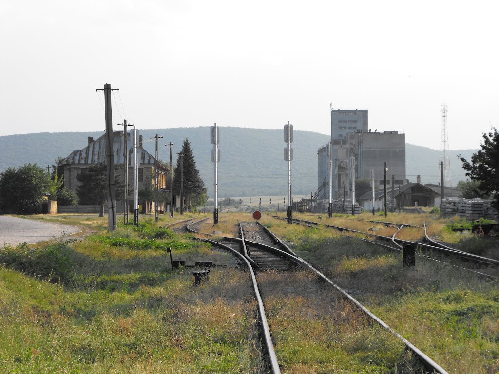 NENOROCIRE în Gara Babadag! O femeie a fost mutilată de tren