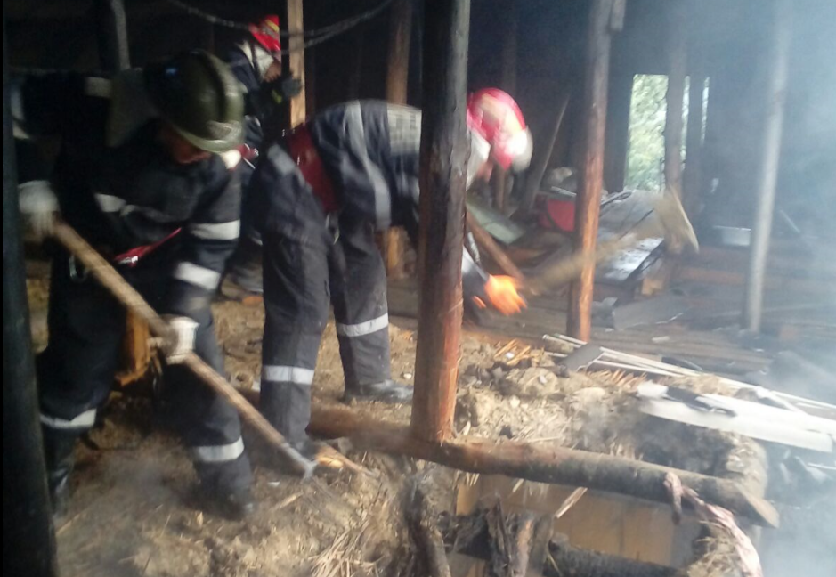 TULCEA/VIDEO: Casă distrusă de un incendiu violent
