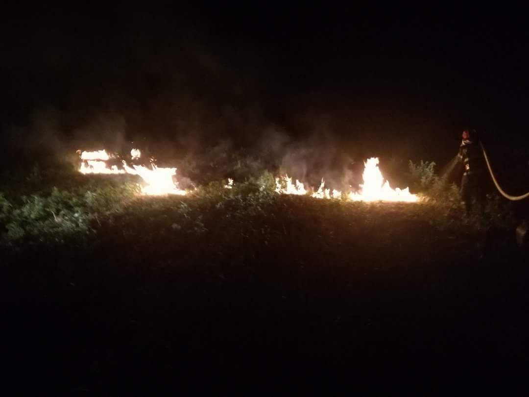 FOTO: INCENDIU puternic de vegetație în județul TULCEA