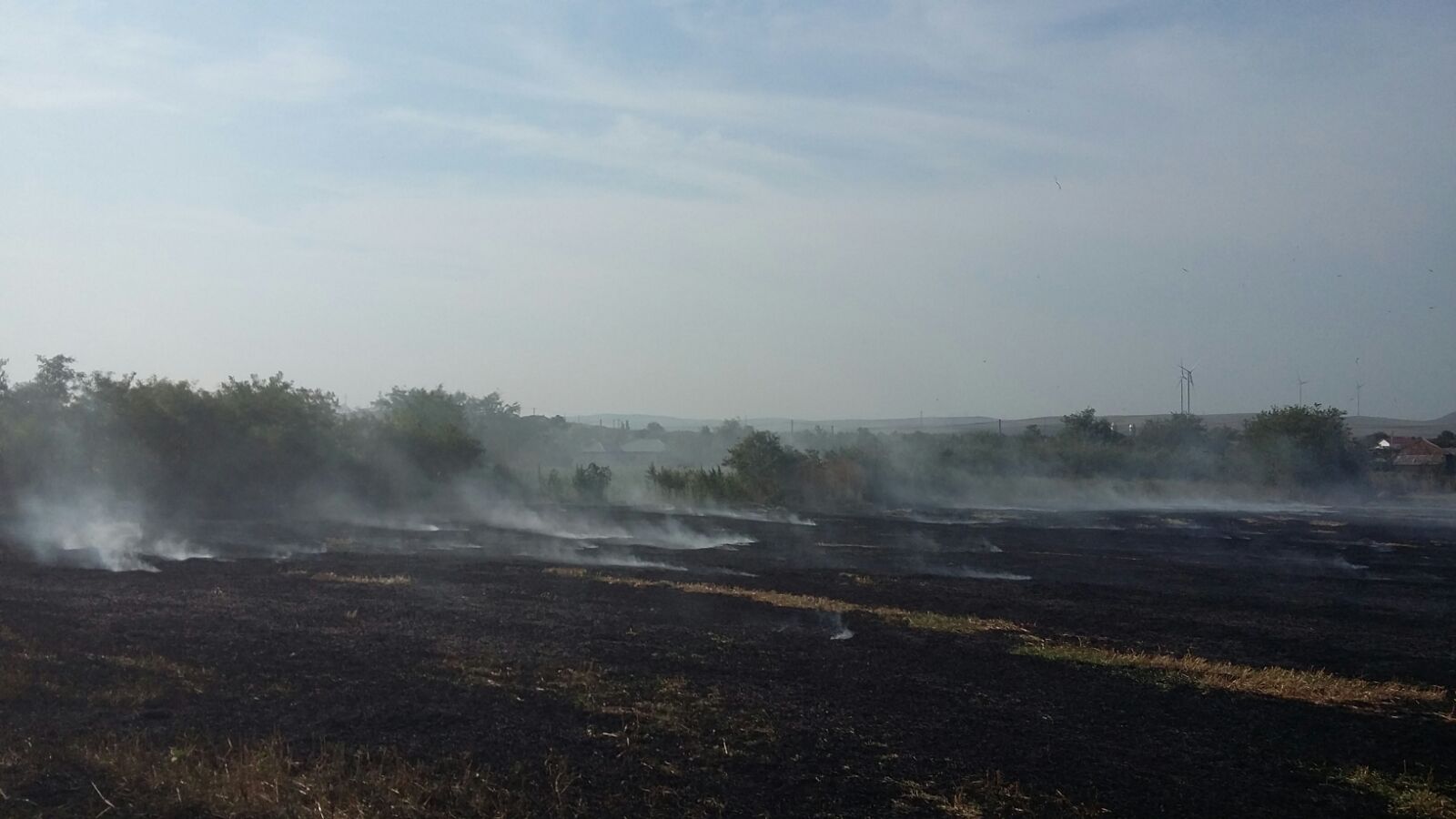 Incendiu de miriște într-o comună din TULCEA