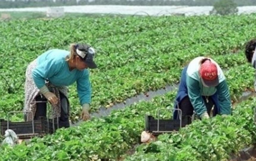 Campanie pentru românii din DIASPORA – „Informare acasă, siguranţă în lume!”
