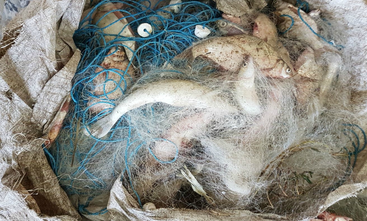 Un tulcean s-a ales cu dosar penal din cauza a 100 de kilograme de peşte