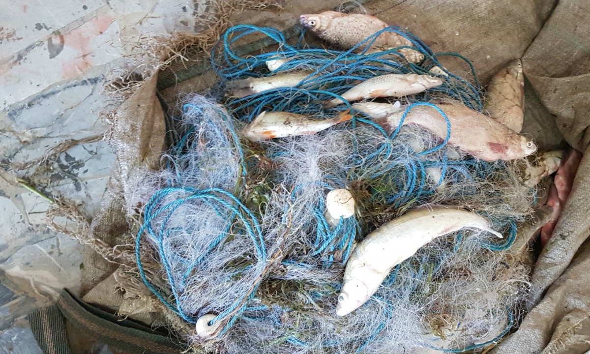 TULCEA: 900 de kilograme de pește confiscate de la braconieri