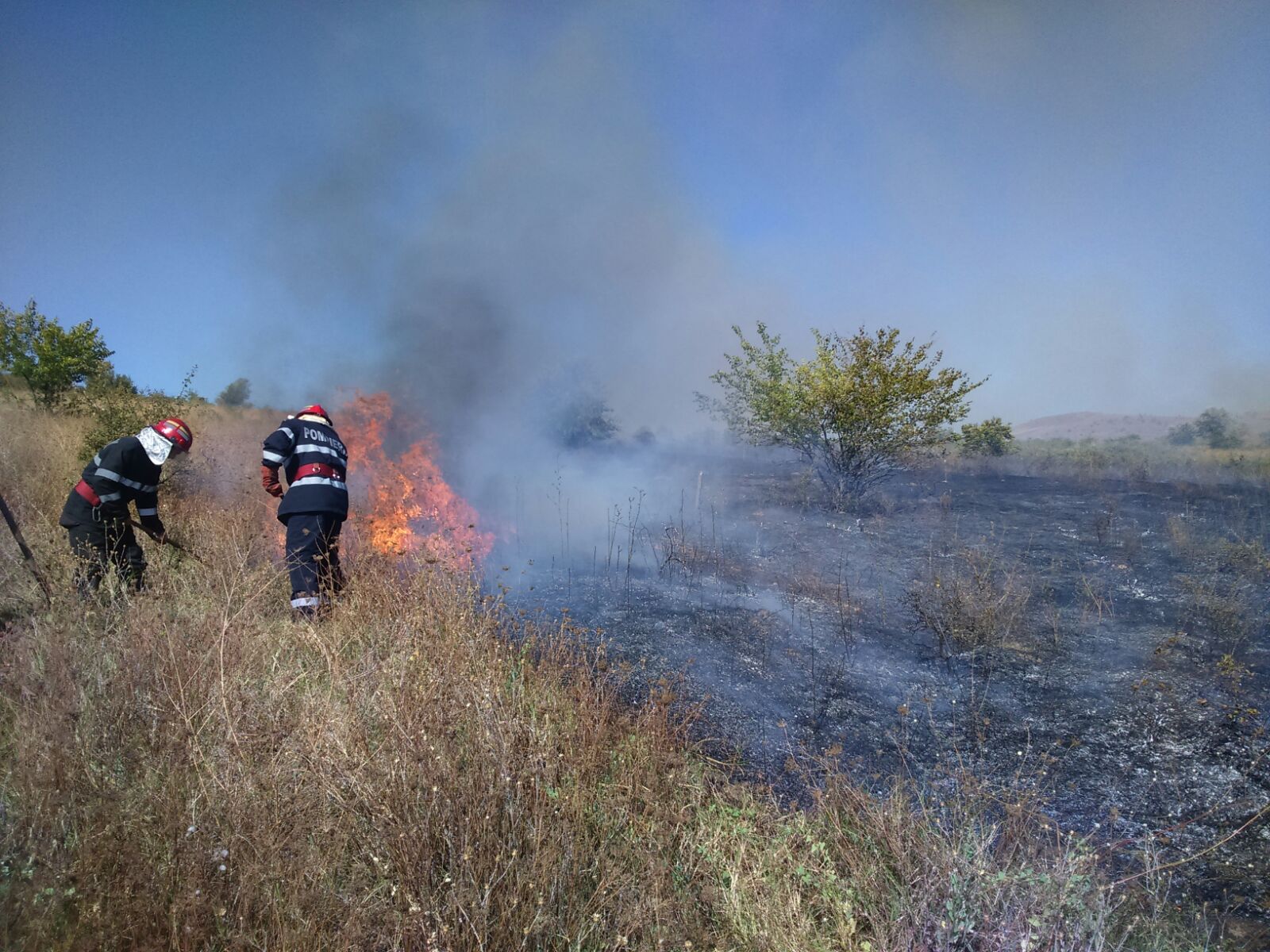 FOTO: Incendiu pe o suprafață de 6 hectare într-o localitate din TULCEA