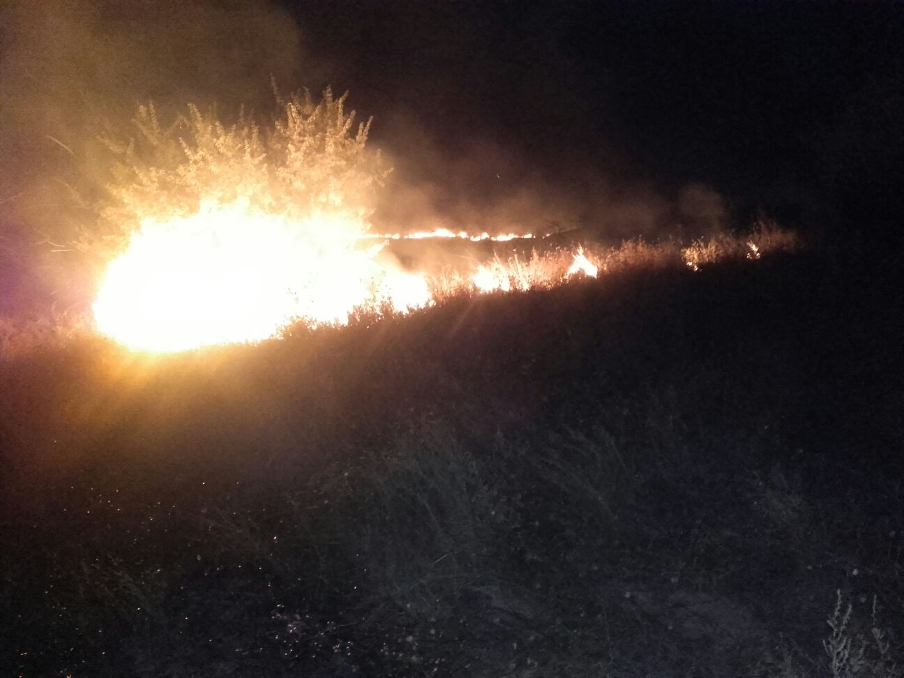 TULCEA: Peste 200 de hectare de vegetație uscată au ars într-un incendiu de proporții