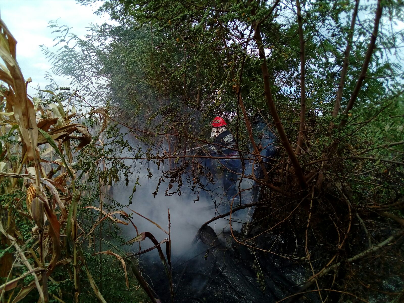 TULCEA/FOTO: Incendiu în curtea unei case