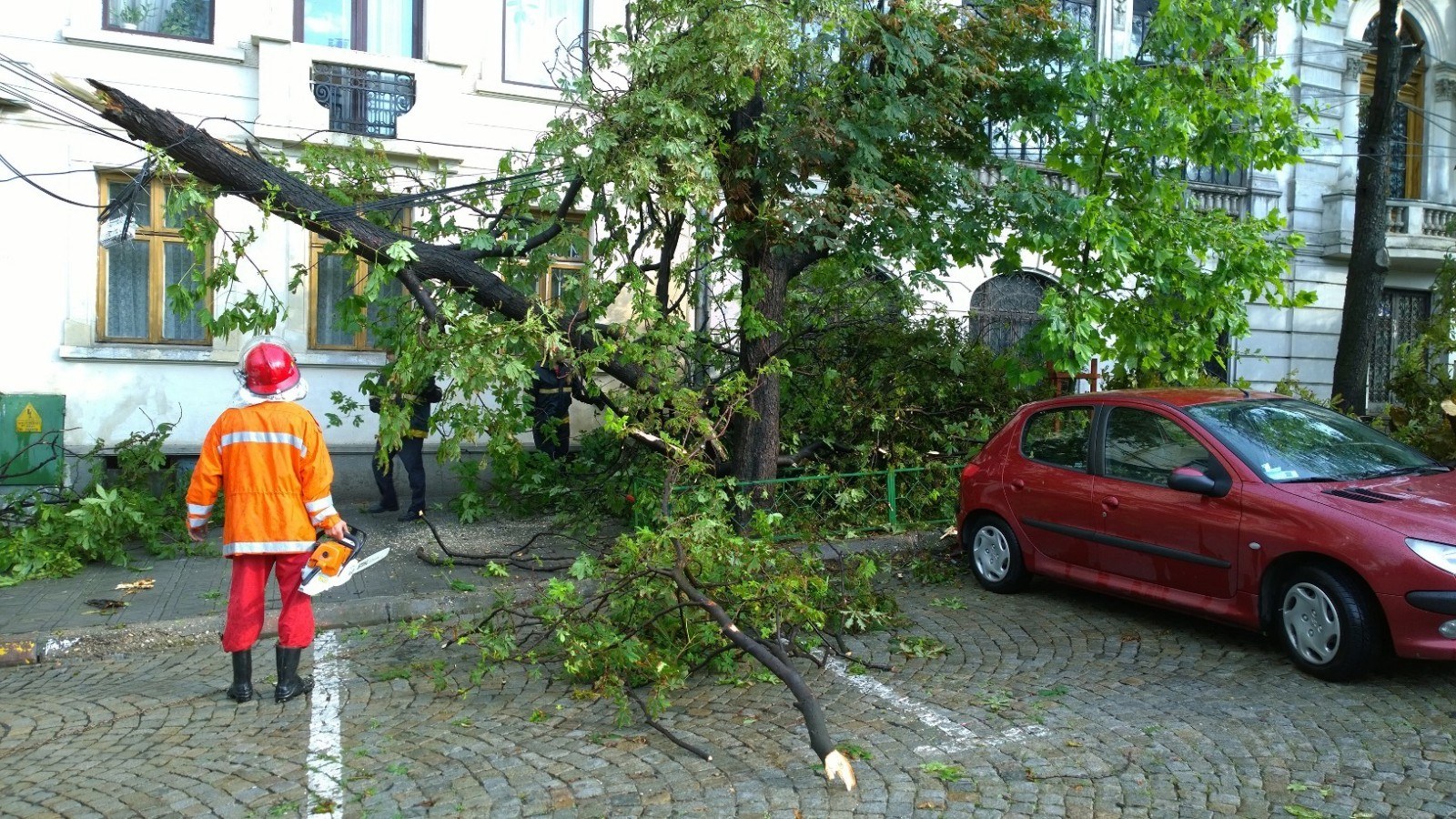 Constanța, măturată de vântul puternic! Avertismentul Primăriei pentru posesorii de mașini