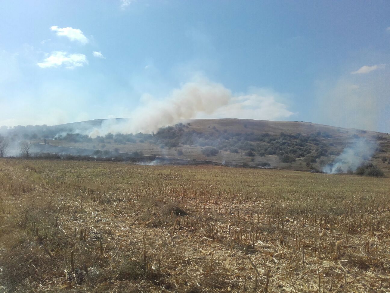 UPDATE! Incendiu puternic în localitatea tulceană VĂCĂRENI. Fumul dens se vede de la depărtare!