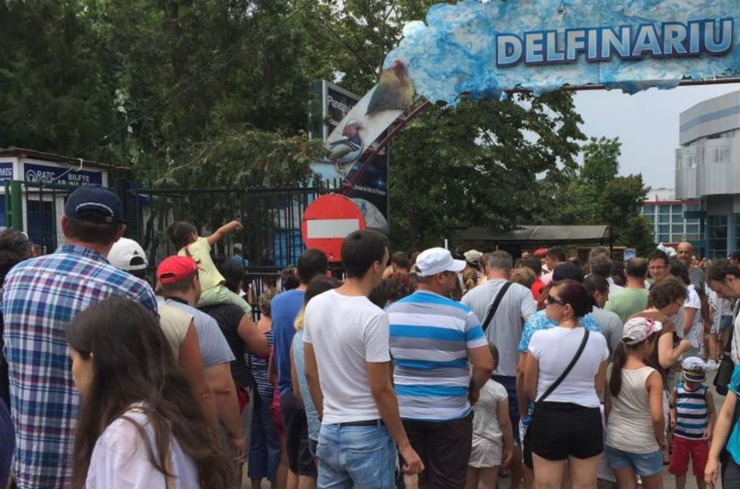 CONSTANȚA: Biletele ONLINE de la DELFINARIU vor fi mai scumpe cu 1 leu decât cele de la ghișeu