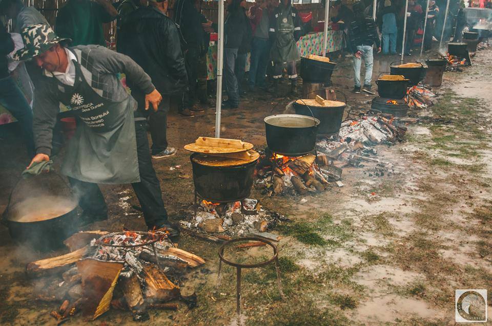 TULCEA: 15 de tone de pește pentru 15.000 de spectatori. Gurmanzii sunt așteptați la un regal culinar