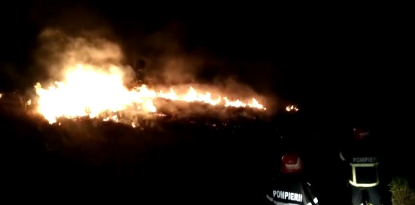 FOTO: Incendiu puternic între Tulcea și Agighiol