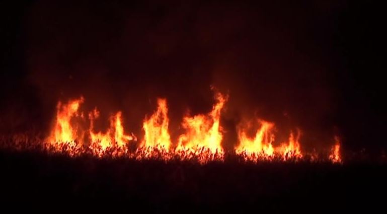 UPDATE: Incendiu la un depozit din Istria