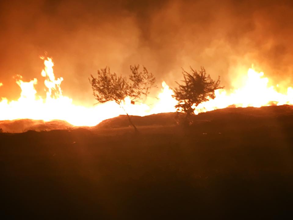 Incendiu de vegetație uscată la Vadu