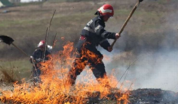 Incendiu de vegetație uscată în apropiere de o fostă uzină din localitatea Ovidiu