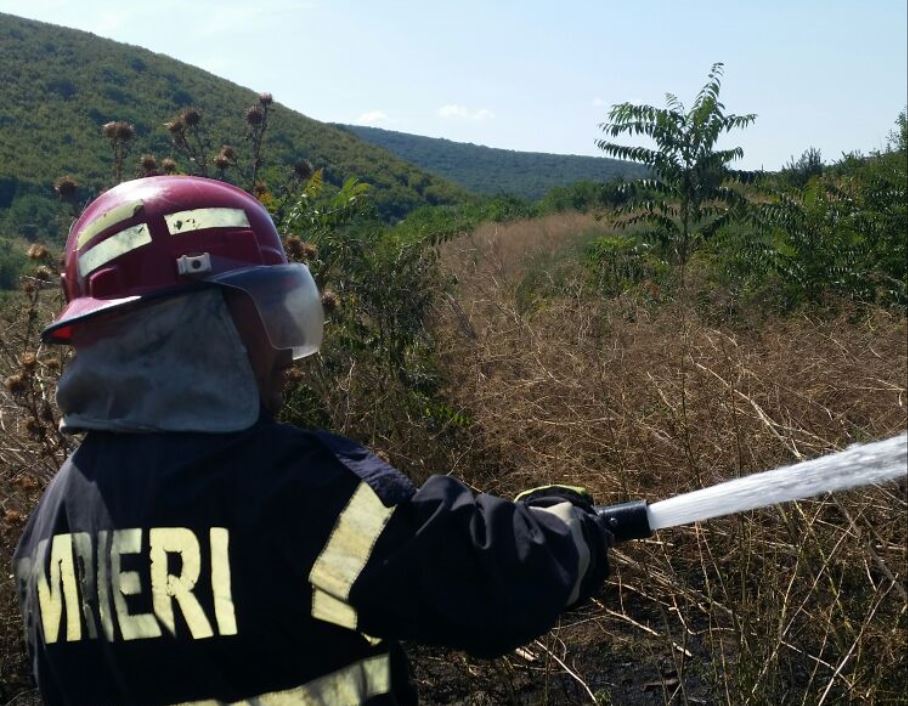 Județul TULCEA/FOTO: Arde vegetația de pe 1000 de metri pătrați