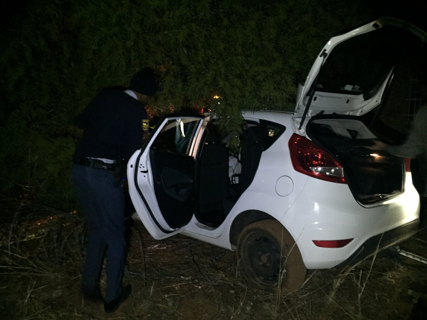 TULCEA – O mașină s-a izbit violent de un copac la ieșire din comuna Horia