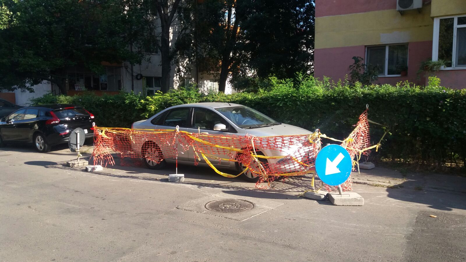 FOTO/CONSTANŢA – Instantaneul zilei: Dorel şi-a marcat din nou teritoriul!