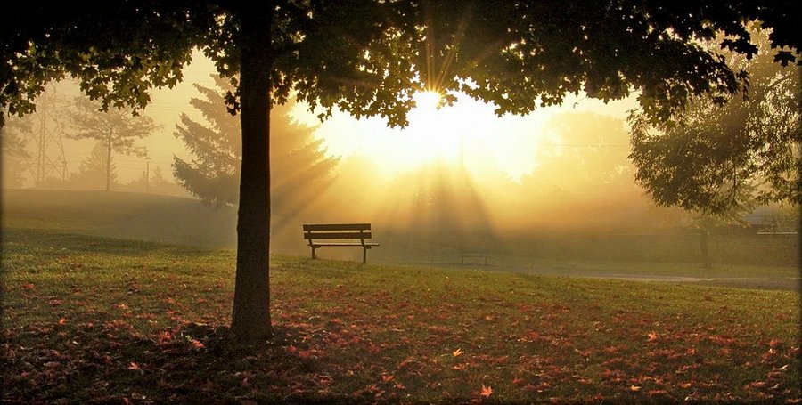 A venit, în sfârșit, toamna! Ce temperaturi anunță meteorologii