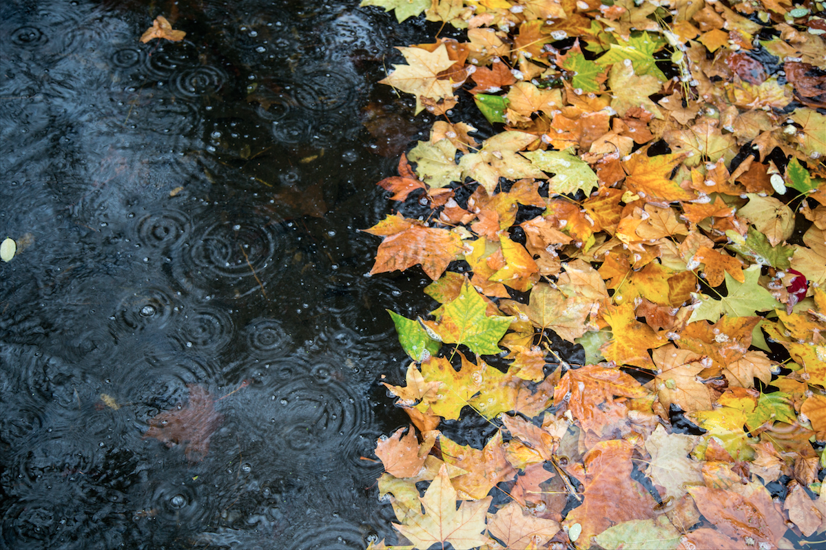 Informare meteorologică de vreme rece și precipitații