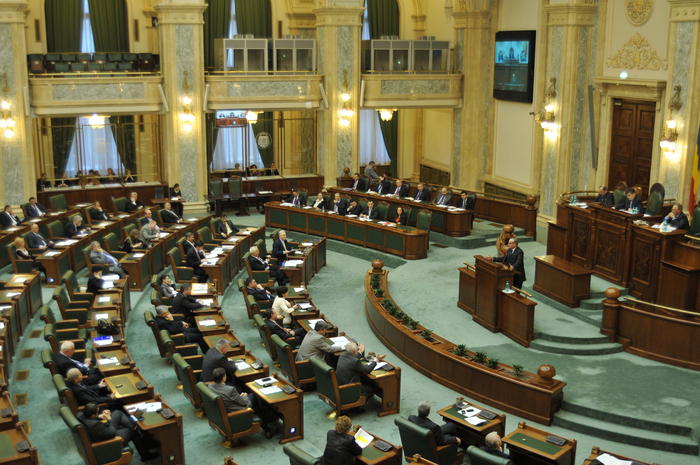 PSD şi UDMR vor eliminarea criteriului celui mai mic preț din Legea achiziţiilor publice