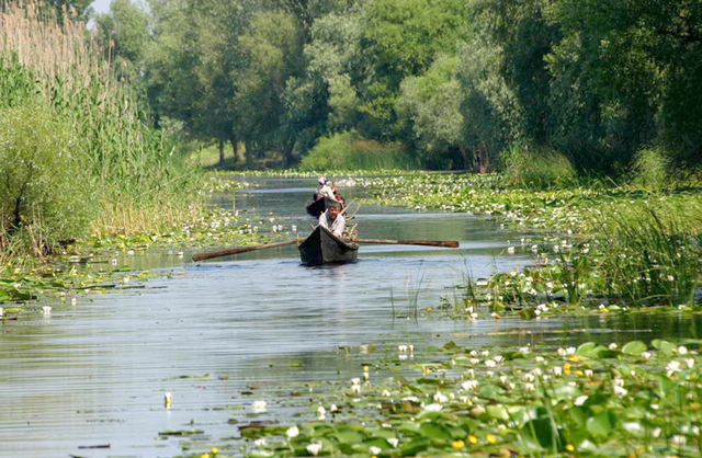 Delta Dunării are parte de cel mai bun sezon turistic din ultimii 10 ani