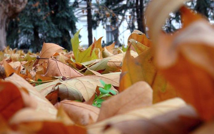 Vremea continuă să se răcească în Dobrogea
