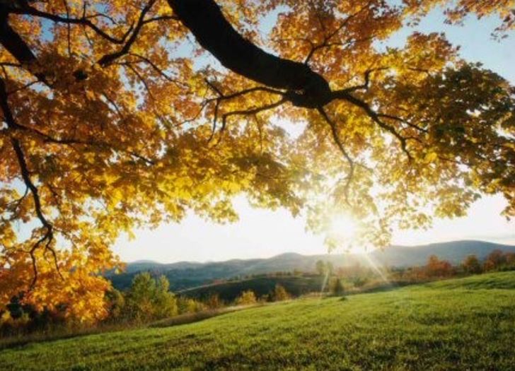 Temperaturile de vară nu vor să părăsească Dobrogea