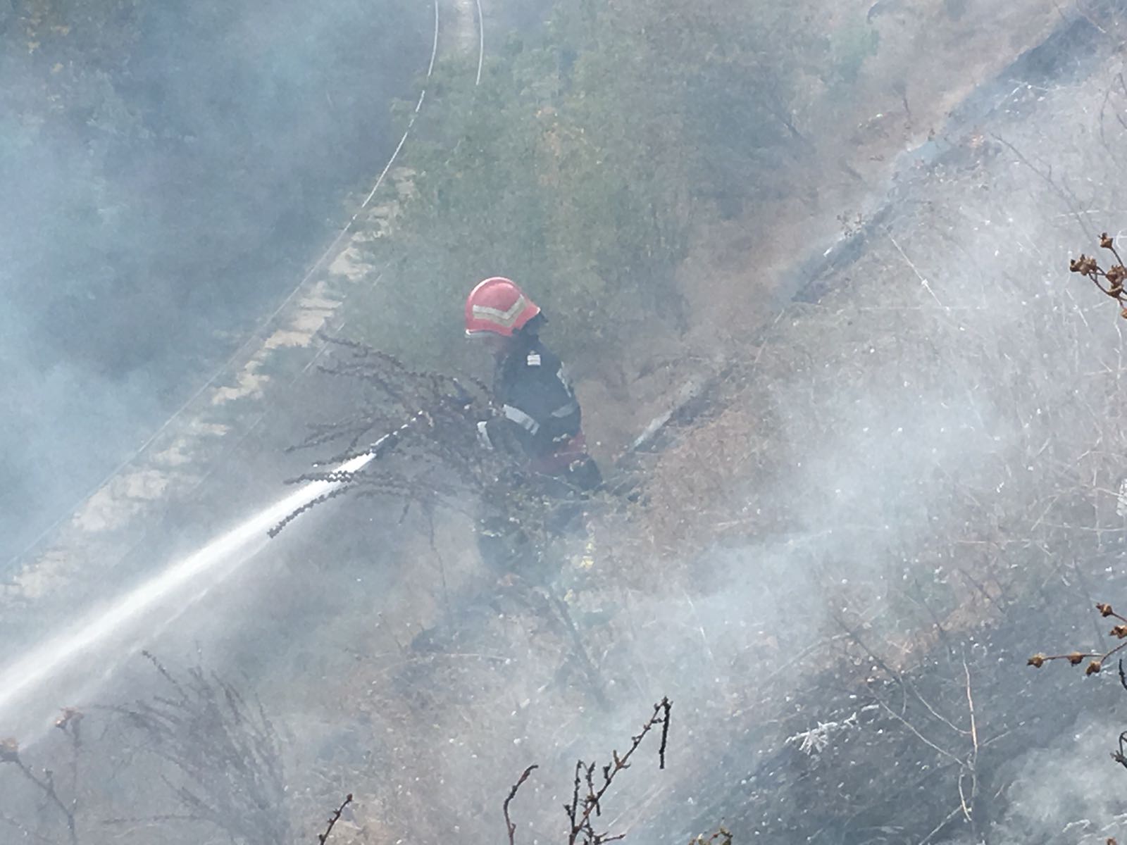 FOTO/TULCEA – Incendiu de vegetație uscată