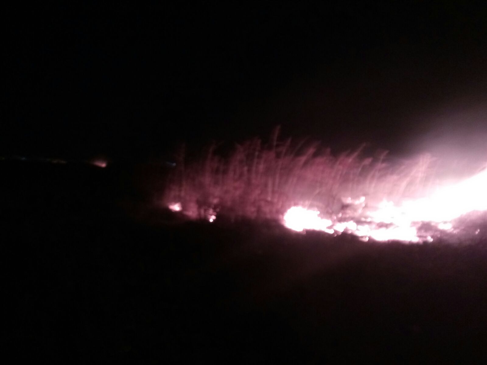 FOTO: 3 hectare de vegetație uscată au luat FOC într-o localitate din județul TULCEA