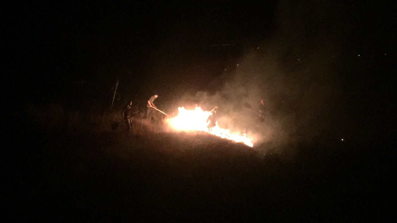Incendii de vegetație la Tulcea. Unul dintre ele amenința să se extindă la o pădure