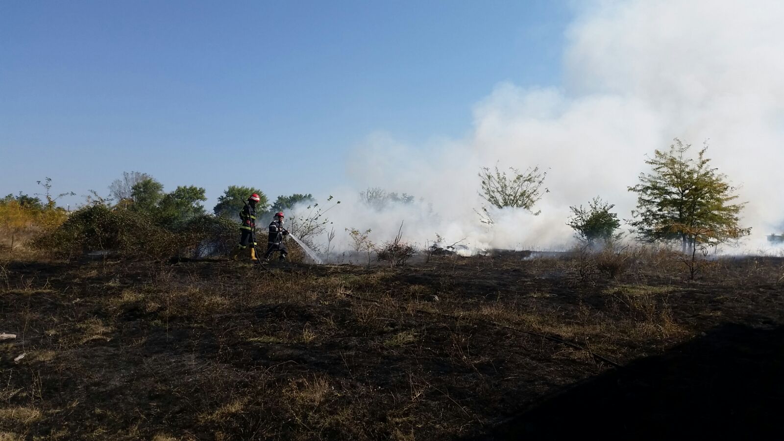 FOTO: Incendiu de vegetație într-o localitate din județul TULCEA