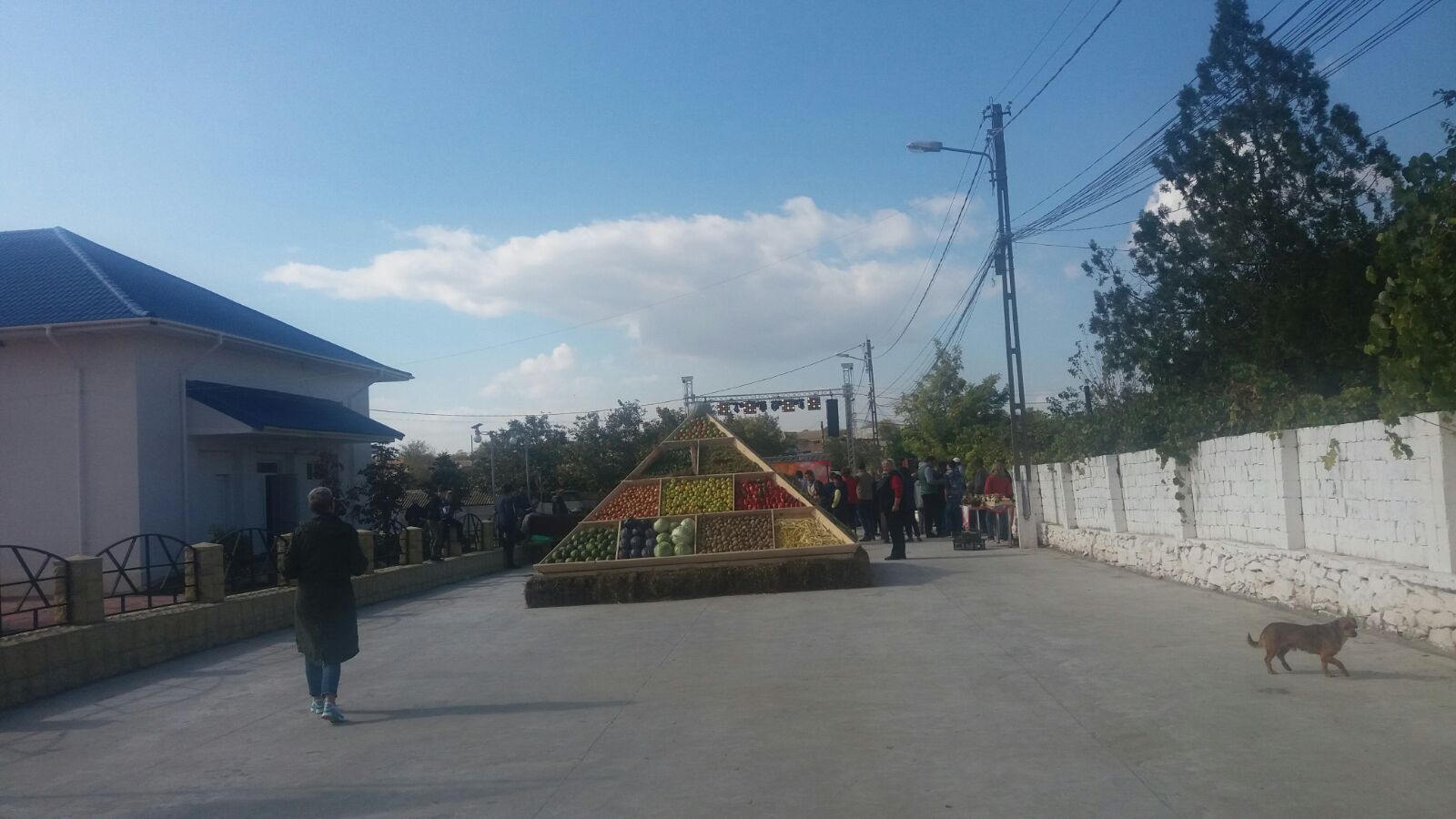 Ziua Recoltei, în comuna Grădina (galerie foto)