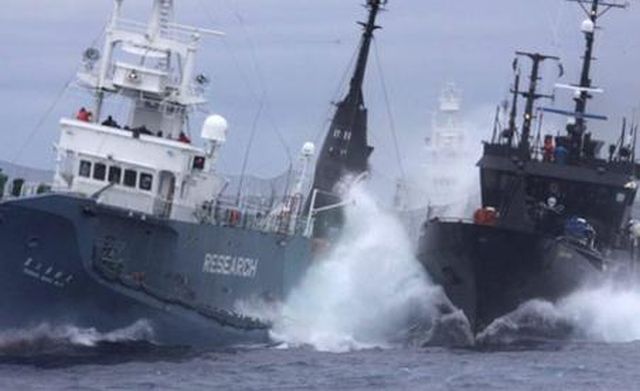 Incident naval în Portul Constanța. Două vapoare s-au CIOCNIT