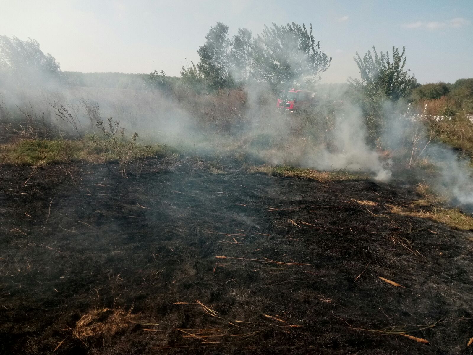 FOTO: Cimitirul unei localități din TULCEA este în PERICOL din cauza unui incendiu