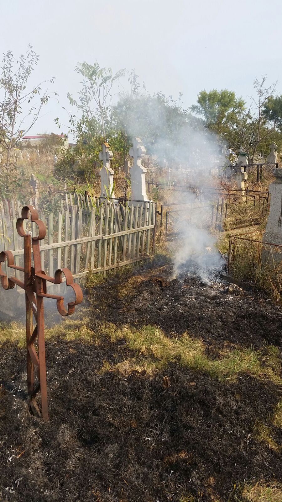 INCENDIU în cimitirul din Babadag (foto)