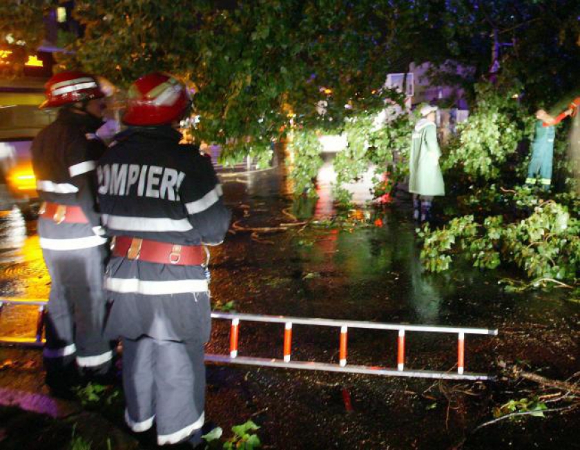 Dezastru în București! Zeci de mașini, DISTRUSE de copacii puși la pământ