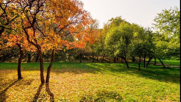 Temperaturi de vară în Dobrogea