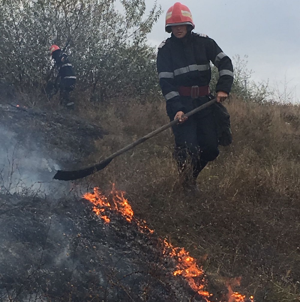 Incendiu de vegetație la Ovidiu