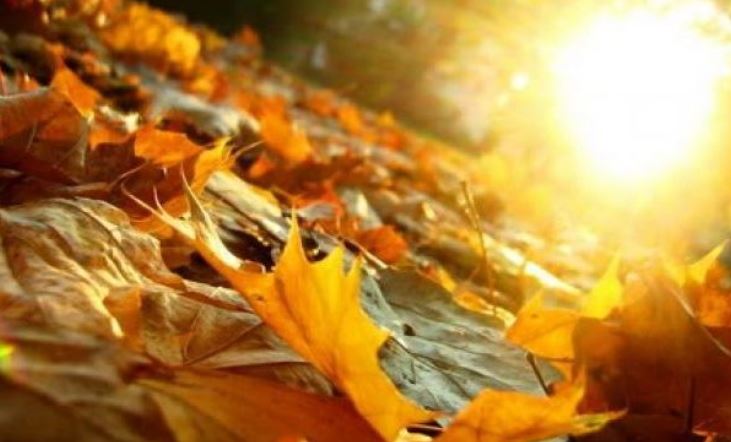 Începutul de săptămână vine cu vreme frumoasă în Dobrogea