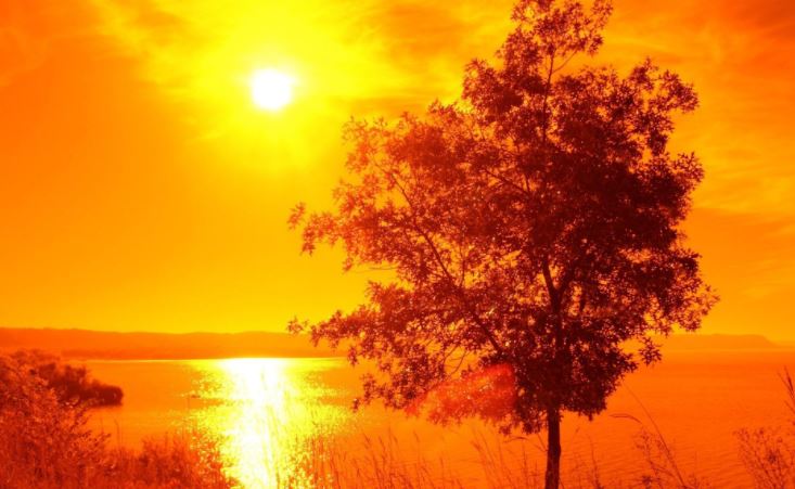 Vremea în Dobrogea se încălzește uşor