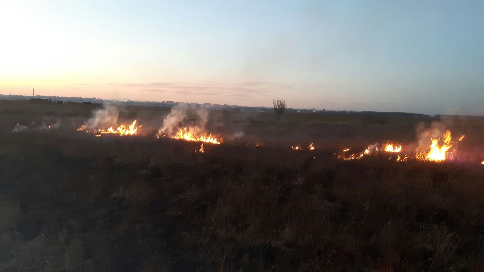 FOTO: Incendiu de vegetație uscată într-o localitate din județul TULCEA