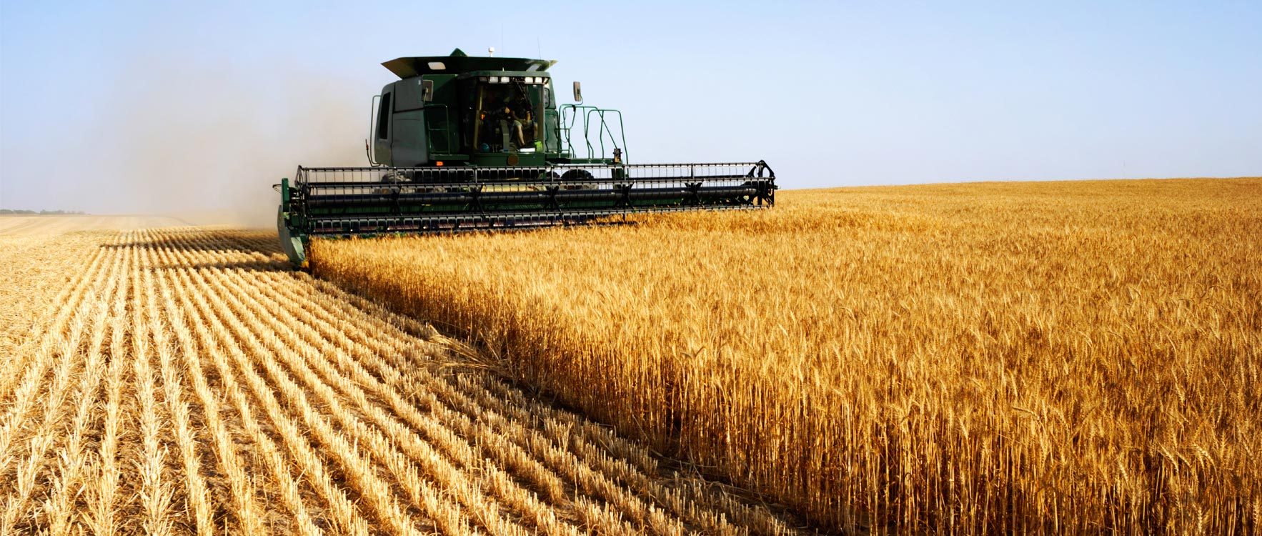 România, a opta putere agricolă a UE în 2016