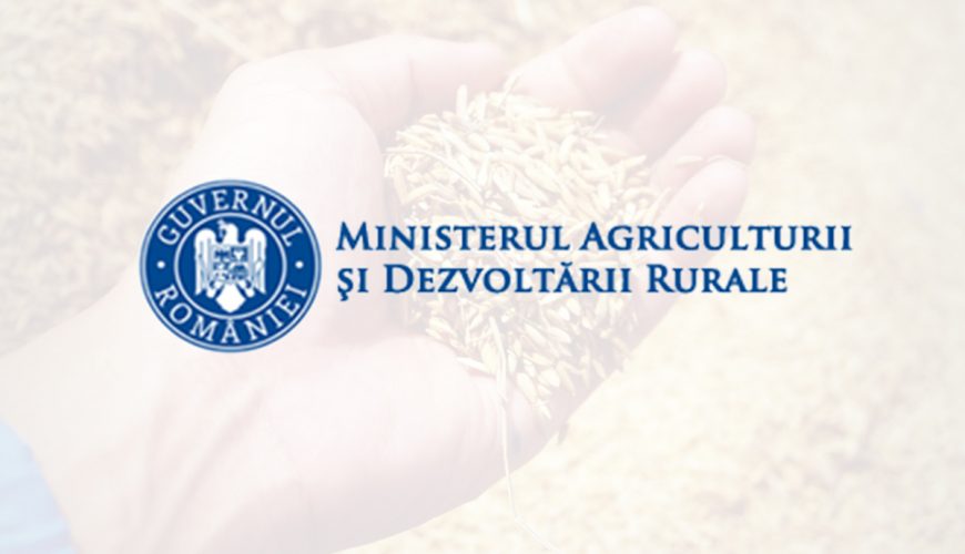 Angajaţii APIA protestează în Capitală